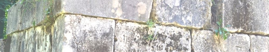 banner_zid.jpg